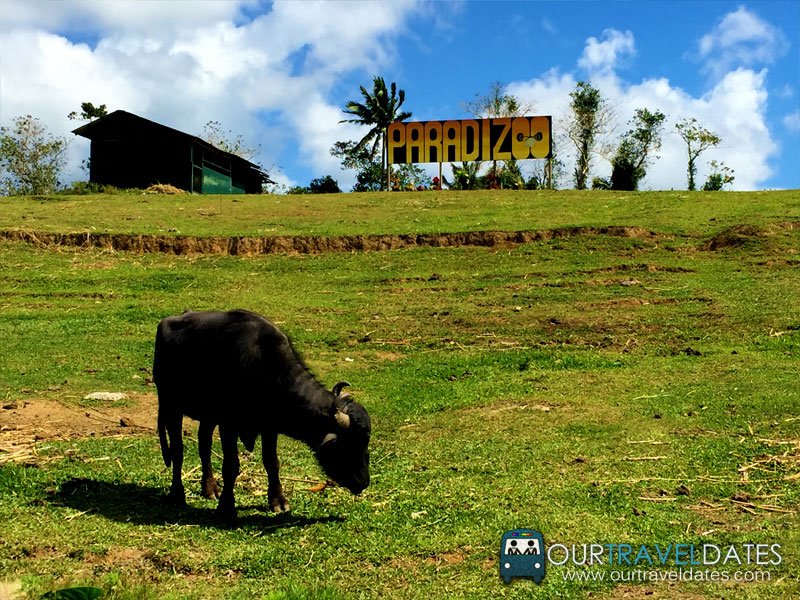 paradizoo-tagaytay-batangas-cavite-zoo-farm-power-of-three-theme-park-image12