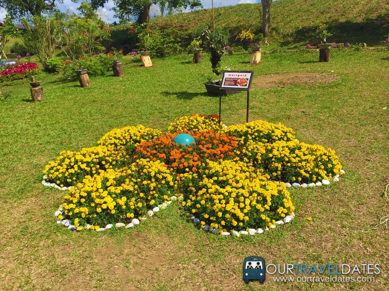 paradizoo-tagaytay-batangas-cavite-zoo-farm-power-of-three-theme-park-image15