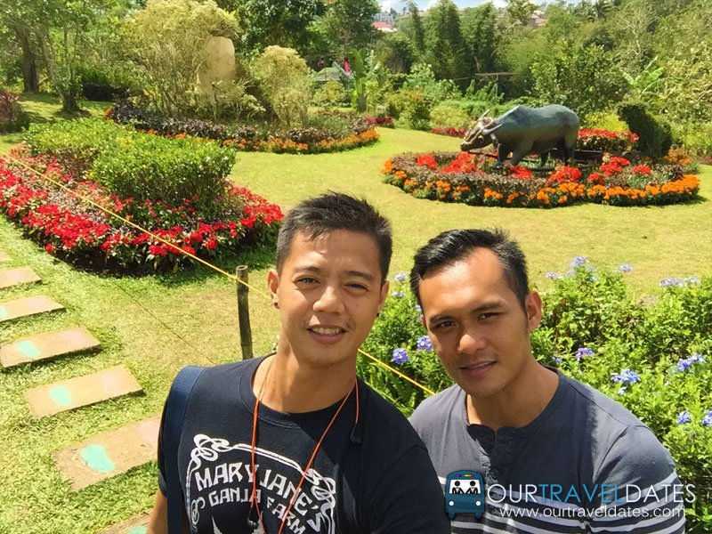 paradizoo-tagaytay-batangas-cavite-zoo-farm-power-of-three-theme-park-image19
