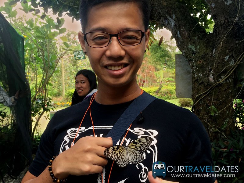 paradizoo-tagaytay-batangas-cavite-zoo-farm-power-of-three-theme-park-image23