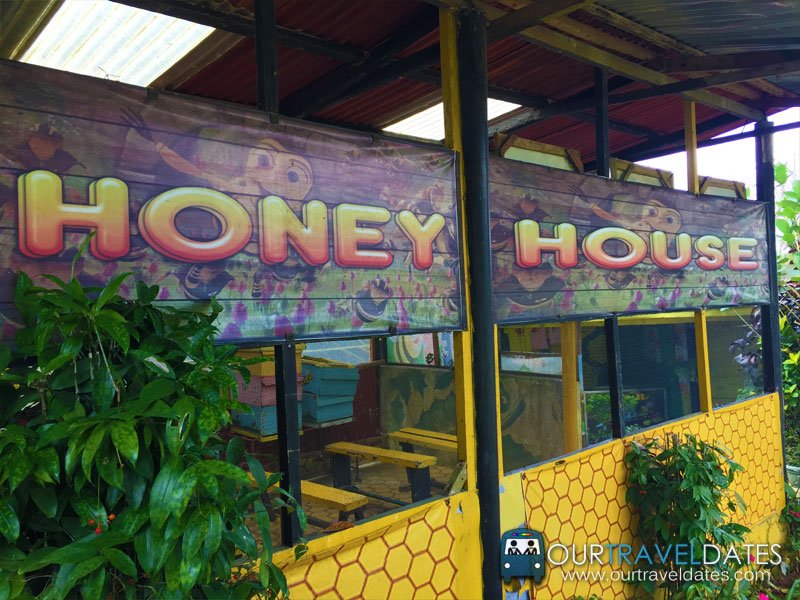 paradizoo-tagaytay-batangas-cavite-zoo-farm-power-of-three-theme-park-image25