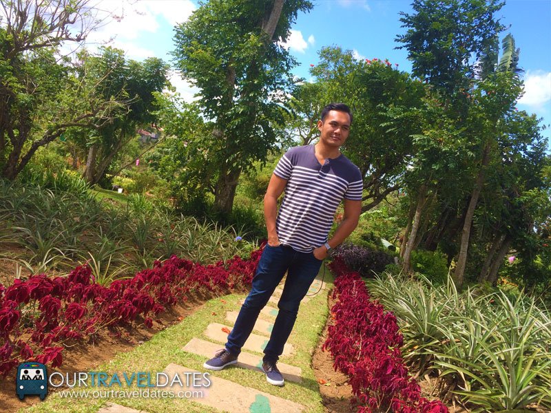 paradizoo-tagaytay-batangas-cavite-zoo-farm-power-of-three-theme-park-image31