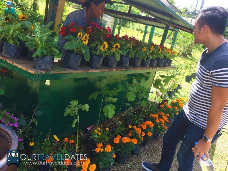 paradizoo-tagaytay-batangas-cavite-zoo-farm-power-of-three-theme-park-image34