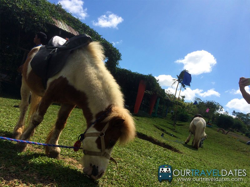 paradizoo-tagaytay-batangas-cavite-zoo-farm-power-of-three-theme-park-image6