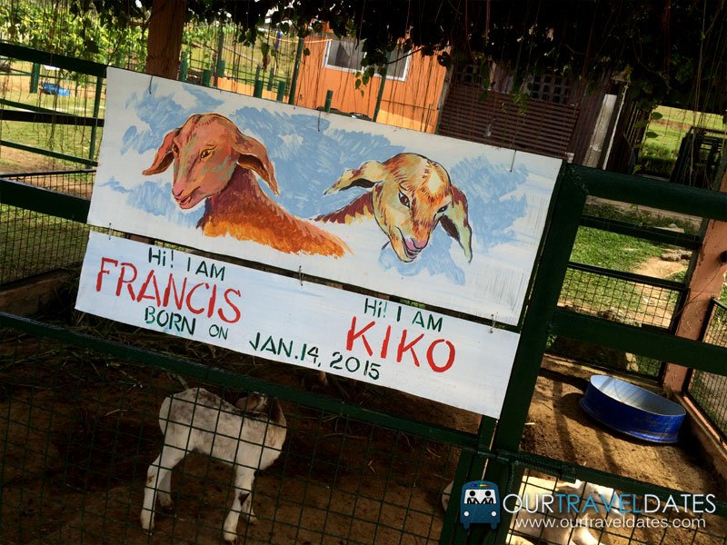 paradizoo-tagaytay-batangas-cavite-zoo-farm-power-of-three-theme-park-image9